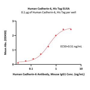 Human Cadherin-6 / KCAD / CDH6 Protein