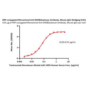 HRP conjugated Monoclonal Anti-DXD&Exatecan Antibody