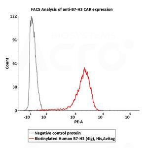 Biotinylated Human B7-H3 (4Ig) / B7-H3b Protein