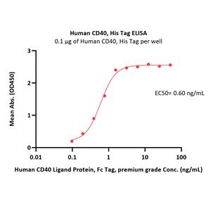 Human CD40 / TNFRSF5 Protein