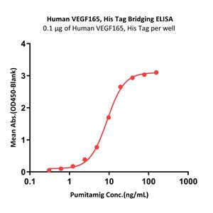 Human VEGF165 Protein