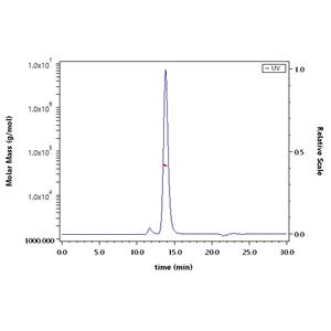Human SIRP alpha / CD172a Protein