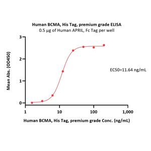 Human BCMA / TNFRSF17 Protein