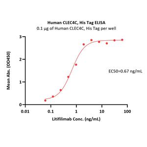 Human CLEC4C / BDCA2 Protein
