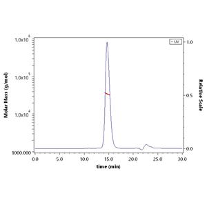 Mouse B7-H3 (2Ig) / CD276 Protein