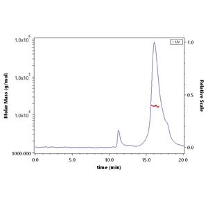 Human BAFFR / TNFRSF13C Protein