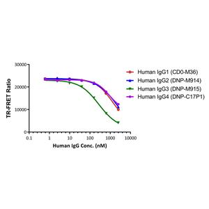 Human Fc gamma RIIA / CD32a (R167) binding Kit