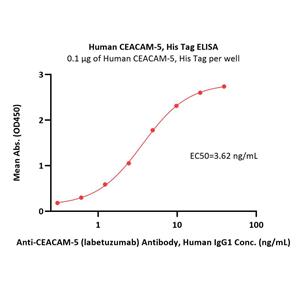 Human CEACAM-5 / CD66e Protein