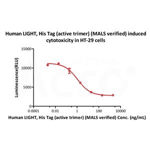 Human LIGHT / TNFSF14 Protein