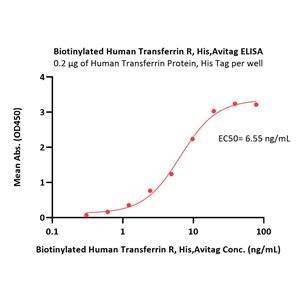 Biotinylated Human Transferrin R / CD71 Protein
