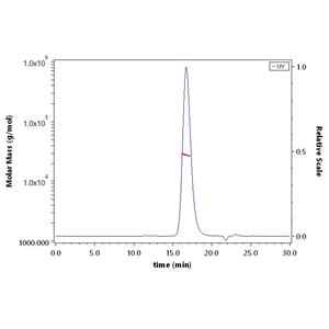 Human Fc gamma RIIA / CD32a (H167) Protein