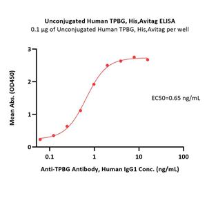 Unconjugated Human TPBG / 5T4 Protein