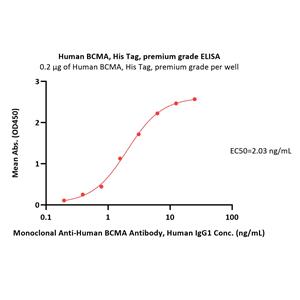 Human BCMA / TNFRSF17 Protein