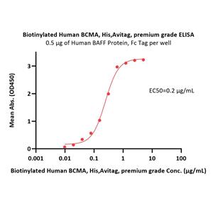 Biotinylated Human BCMA / TNFRSF17 Protein