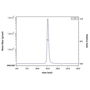 Human CD3 epsilon&CD3 gamma Heterodimer Protein