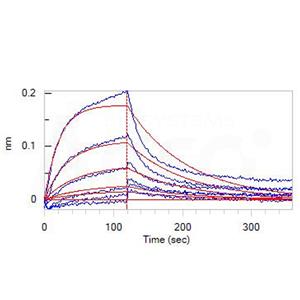 Biotinylated Human FcRn / FCGRT&B2M Heterodimer Protein