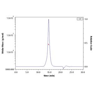 Human 4-1BB / TNFRSF9 Protein