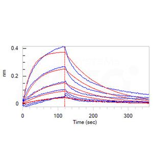 Biotinylated Human Serum Albumin Protein