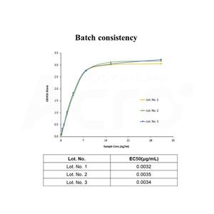 Human CD40 / TNFRSF5 Protein