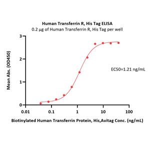 Human Transferrin R / CD71 Protein