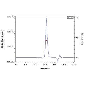Human Fc gamma RIIB/C (CD32b/c) Protein