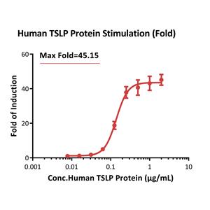 Human TSLP Protein