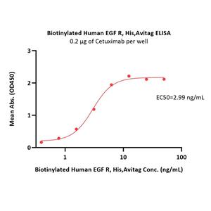 Biotinylated Human EGF R Protein