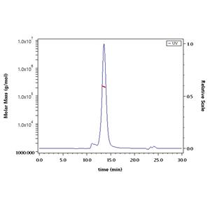 Biotinylated Human Integrin alpha V beta 6 (ITGAV&ITGB6) Heterodimer Protein