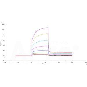 Human PD-L1 / B7-H1 Protein