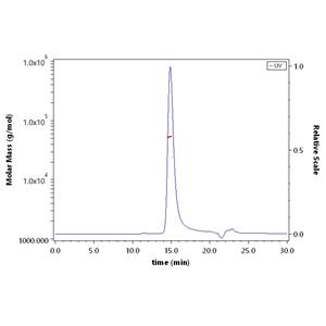Human APRIL / TNFSF13 Protein