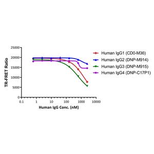 Human Fc gamma RIIIA / CD16a (F176) binding Kit (TR-FRET)