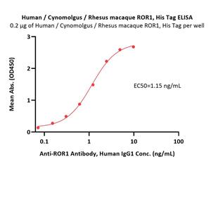 Human / Cynomolgus / Rhesus macaque ROR1 Protein