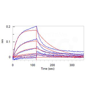 Human Serum Albumin Protein
