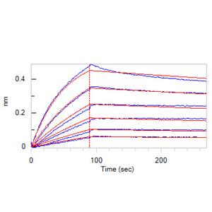Biotinylated Human CD20 / MS4A1 Full Length Protein