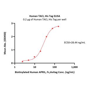 Human TACI / TNFRSF13B Protein
