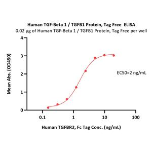 Human TGF-Beta 1 / TGFB1 Protein