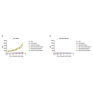 Antibody Internalization Detection Reagent