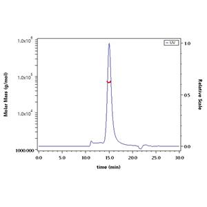 Biotinylated Human IL-23 alpha&IL-12 beta Heterodimer Protein