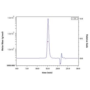 Biotinylated Human Fc gamma RIIB/C (CD32b/c) Protein