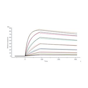 Biotinylated Human CD3 epsilon Protein