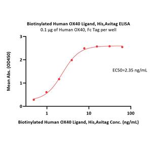 Biotinylated Human OX40 Ligand / TNFSF4 Protein