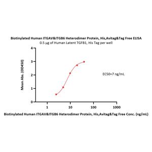 Biotinylated Human Integrin alpha V beta 6 (ITGAV&ITGB6) Heterodimer Protein