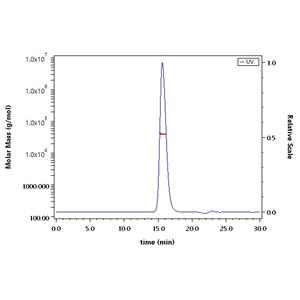 Biotinylated Human FOLR1 Protein