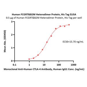 Human FcRn / FCGRT&B2M Heterodimer Protein