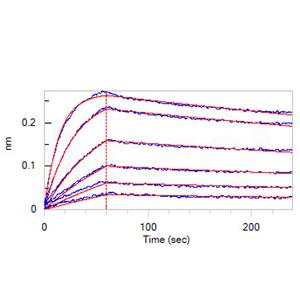 Human OX40 / TNFRSF4 / CD134 Protein