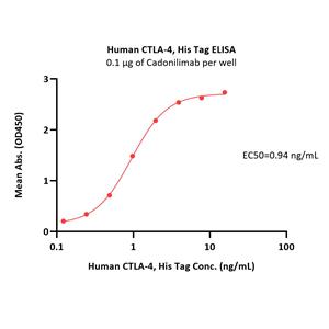 Human CTLA-4 / CD152 Protein
