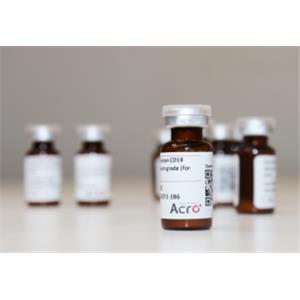 Custom GMP-grade Protein Services