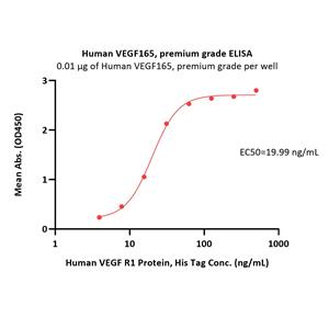 Human VEGF165 Protein