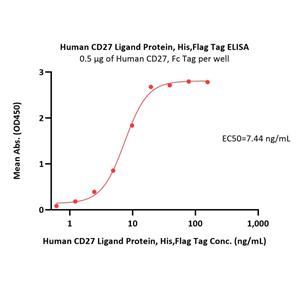 Human CD27 Ligand / CD70 Protein