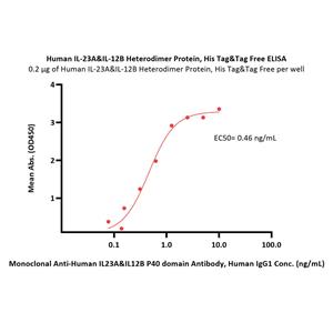 Human IL-23 alpha&IL-12 beta Heterodimer Protein